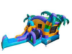 CO2198 Bahama Splash Combo (wet)