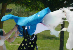 foamtastik 2.31.1 1775594132 Foamtastik